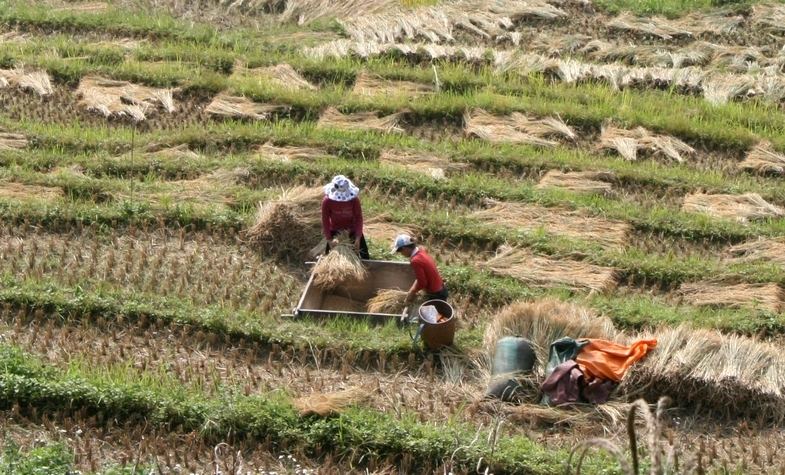 Explore Sapa’s rich culture and natural beauty through our tailored packages.