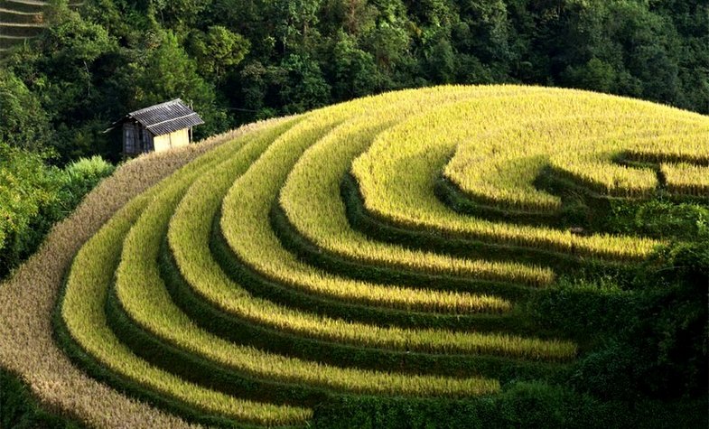 Sapa or Binh Lieu