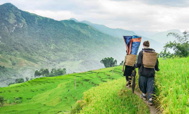 Trekking Sapa