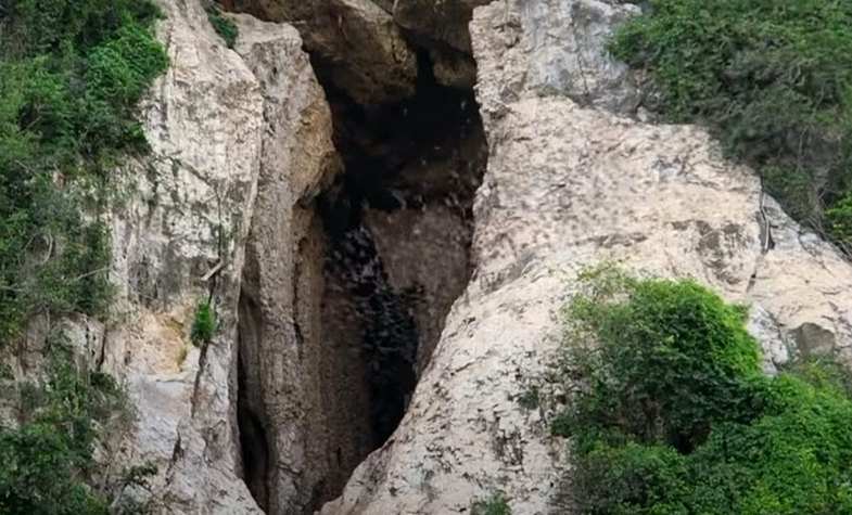 Things to do in Battambang - Battambang Bat caves