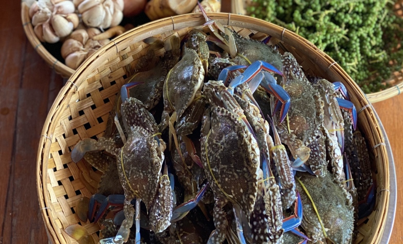 Green Crab in Kampot Cambodia
