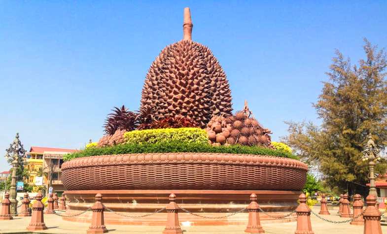 Durian fruit rotation in Kampot