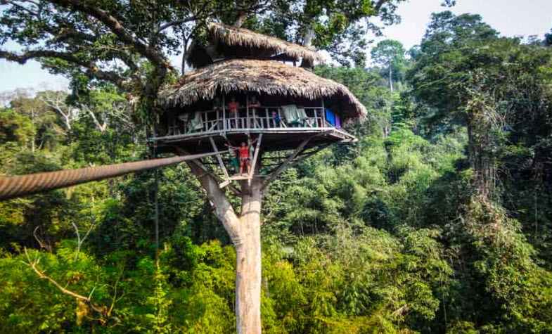 The Gibbon Experience, Laos