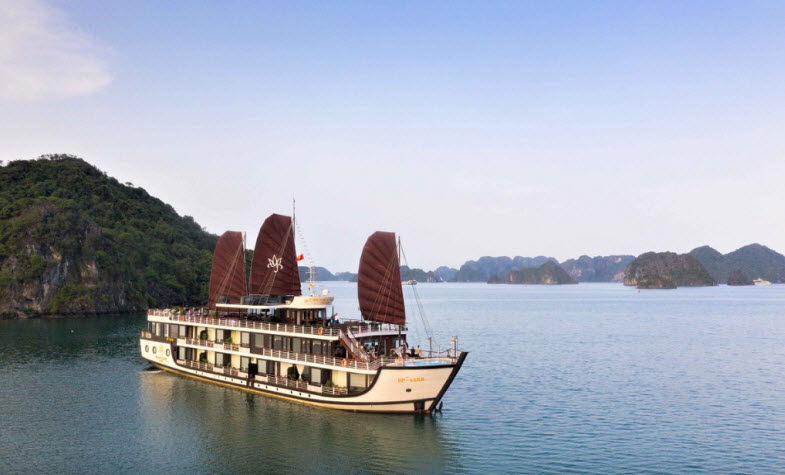 Take a luxury cruise