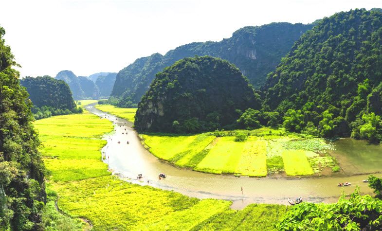 Things to do in Ninh Binh - Tam Coc