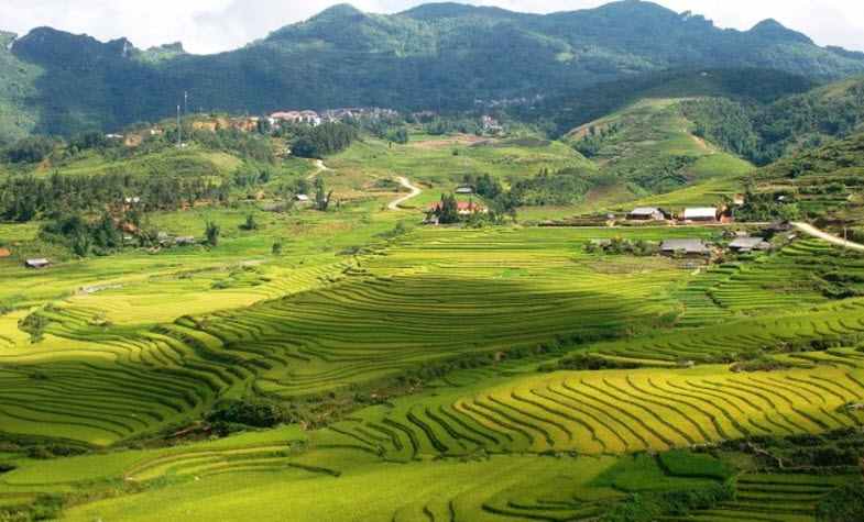 Sapa rice terraces - Ta Phin Village