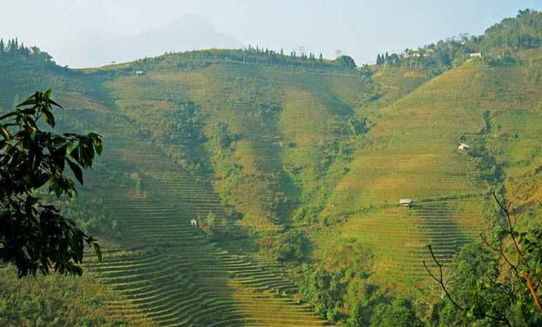 Sapa rice terraces at Thanh Kim village