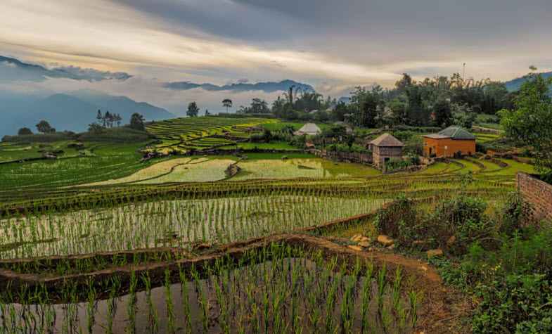 Sapa rice terraces - Y Ty Village